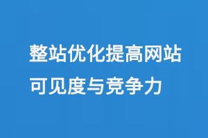 搜索引擎優(yōu)化（SEO）整站優(yōu)化提高網(wǎng)站在搜索引擎中的可見(jiàn)度與競(jìng)爭(zhēng)力